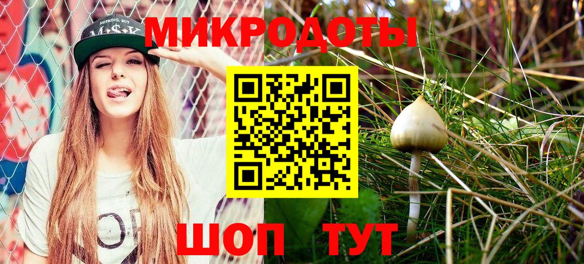 Тимашёвск  Галлюциногенные грибы Psilocybe  Вход с VPN 