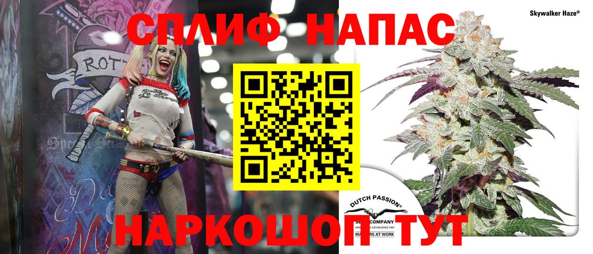 Канабис семена Тимашёвск